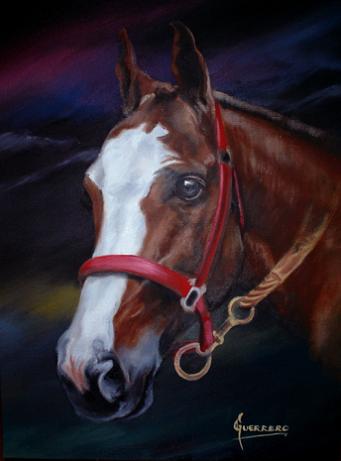 sg_1685850161_animal_caballo (2).jpg